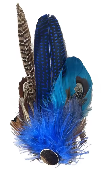 Hat Feathers
