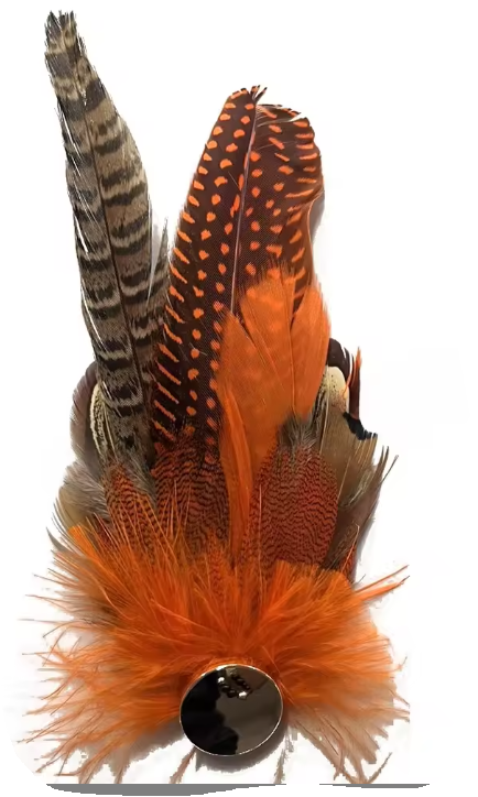 Hat Feathers