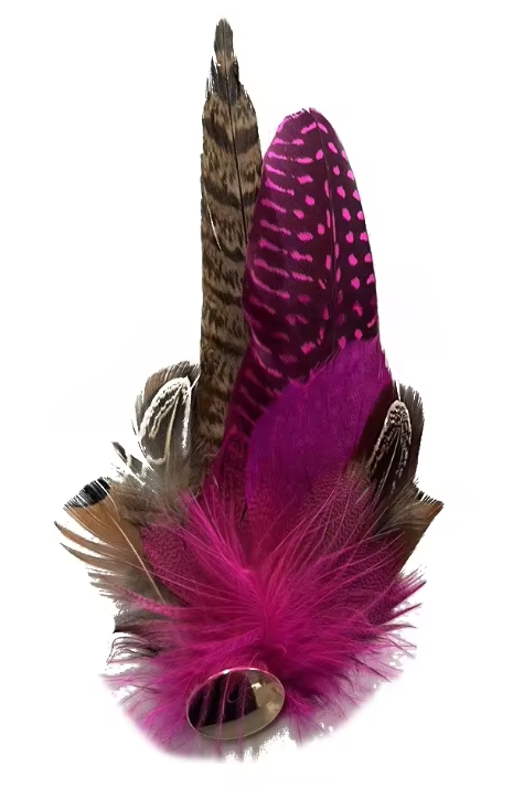 Hat Feathers